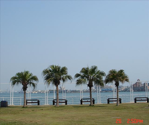 DSC03197