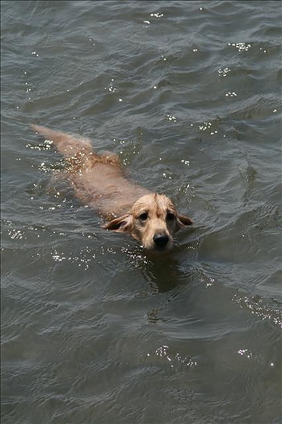 3524135484_9eff19a097_o