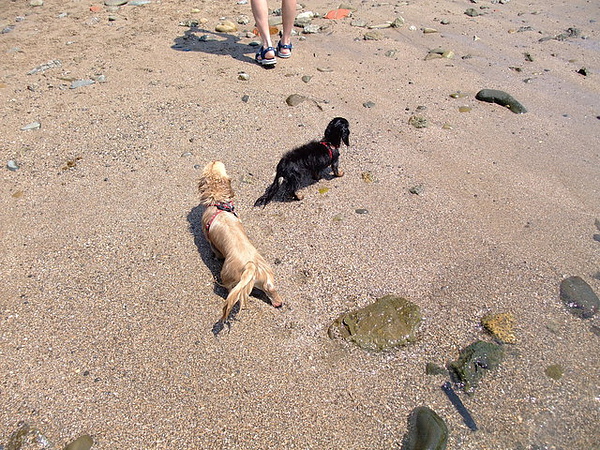 F23_20090512013354100