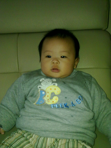 20100213076.jpg