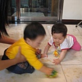 IMG_3852.jpg
