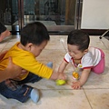 IMG_3856.jpg