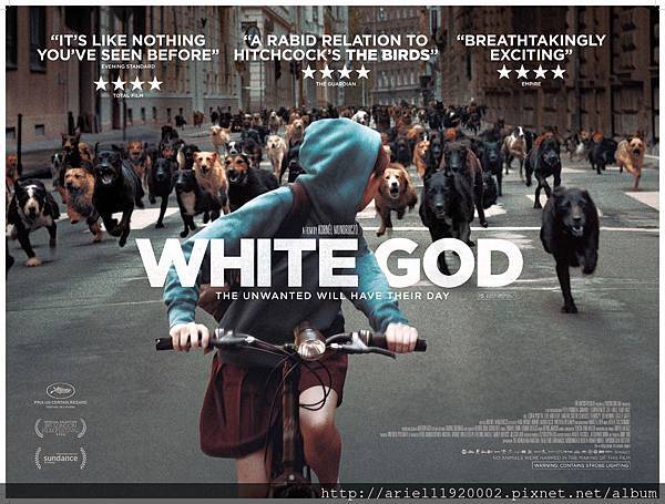 white-god-uk-quad-poster-