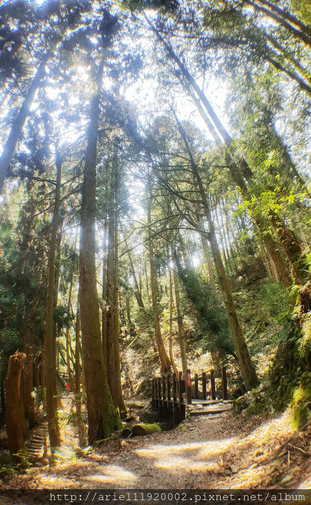 20180319_195917 20180319_195917