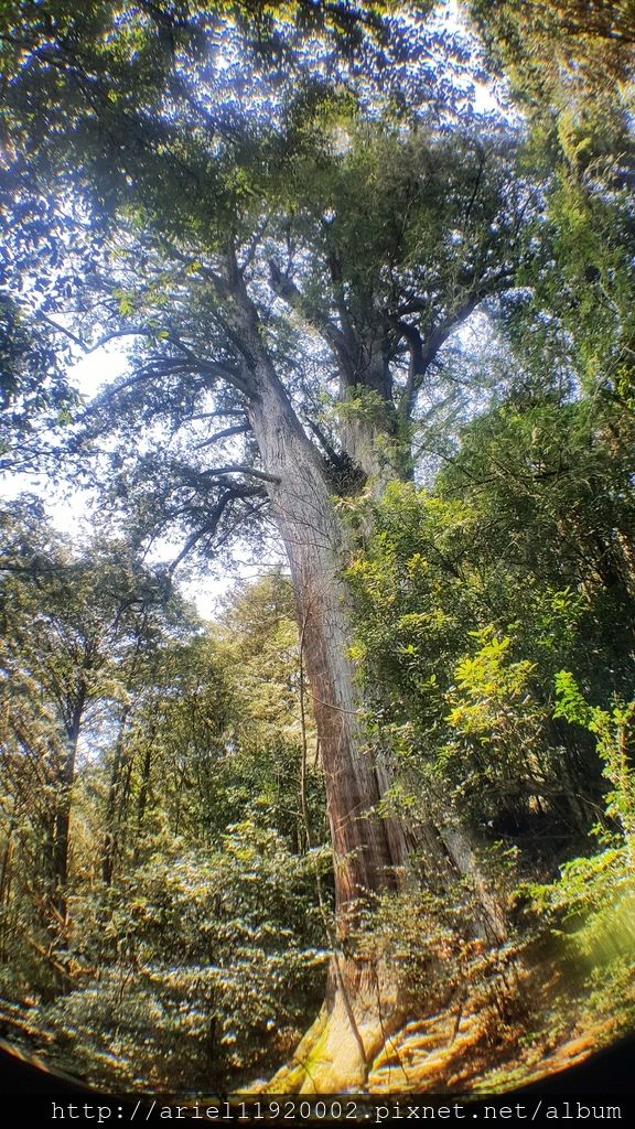 20180312_120148-01 20180312_120148-01