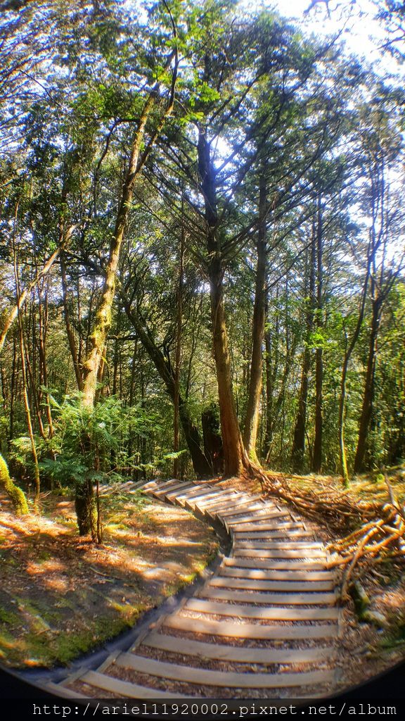 20180312_110204-01 20180312_110204-01