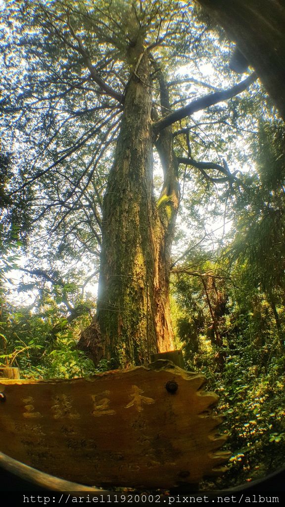 20180312_115504-01 20180312_115504-01