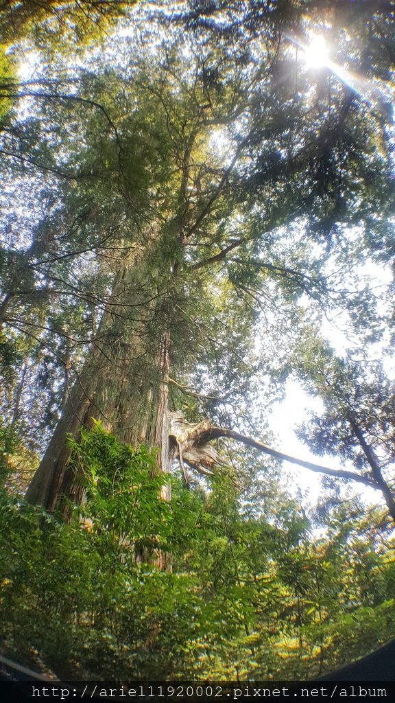 20180312_112904-01 20180312_112904-01