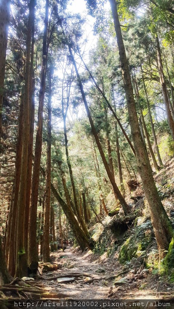 20180312_114348-01 20180312_114348-01