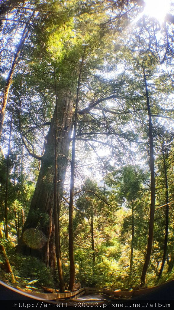 20180312_112320-01 20180312_112320-01