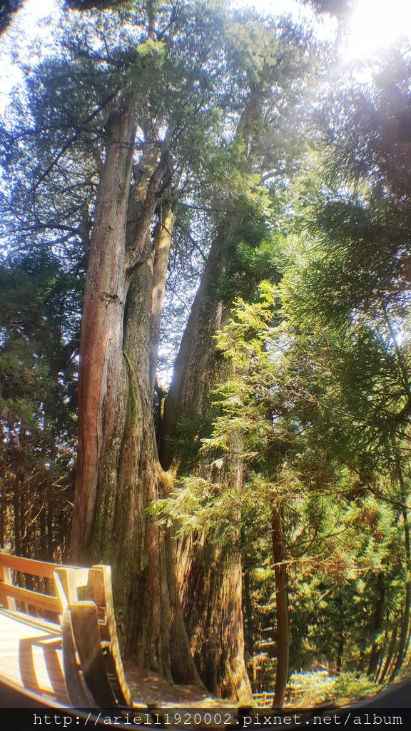 20180312_122142-01 20180312_122142-01