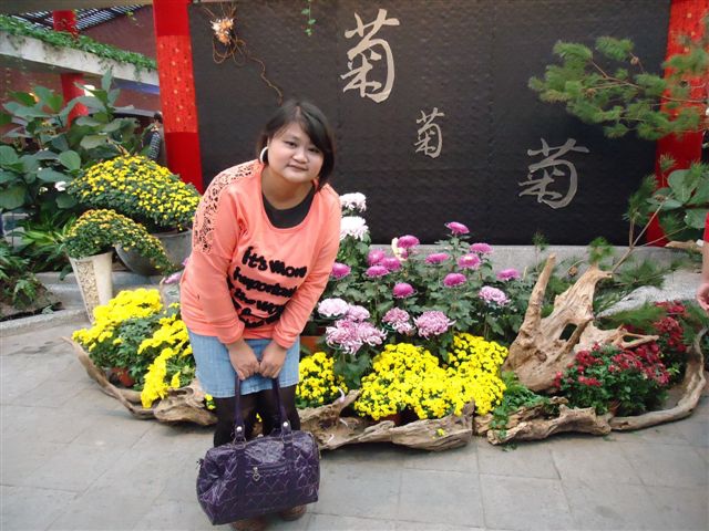 DSC08785 DSC08785
