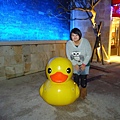 DSC00119