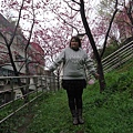 DSC07204.JPG