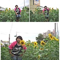 在向日葵間.JPG