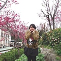 DSC00852.JPG