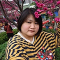 DSC00977.JPG