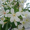 DSC09397.JPG