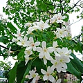 DSC09399.JPG