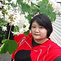 DSC09400.JPG
