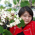 DSC09420.JPG