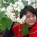 DSC09424.JPG