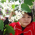 DSC09435.JPG