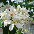 DSC09447.JPG