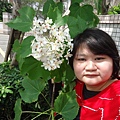 DSC09449.JPG