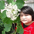 DSC09450.JPG