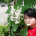 DSC09454.JPG