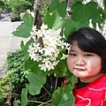 DSC09455.JPG