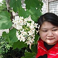 DSC09461.JPG