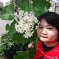 DSC09464.JPG