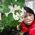 DSC09463.JPG