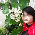 DSC09466.JPG