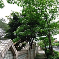 DSC09469.JPG