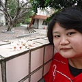 DSC09482.JPG