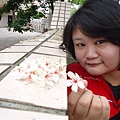 DSC09505.JPG