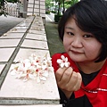 DSC09510.JPG