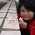 DSC09512.JPG