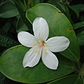 DSC09513.JPG