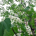 DSC09524.JPG
