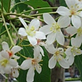 DSC09531.JPG