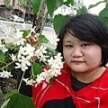 DSC09534.JPG