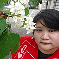 DSC09547.JPG
