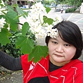 DSC09546.JPG