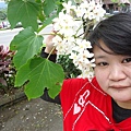 DSC09552.JPG