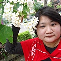 DSC09558.JPG