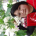 DSC09563.JPG